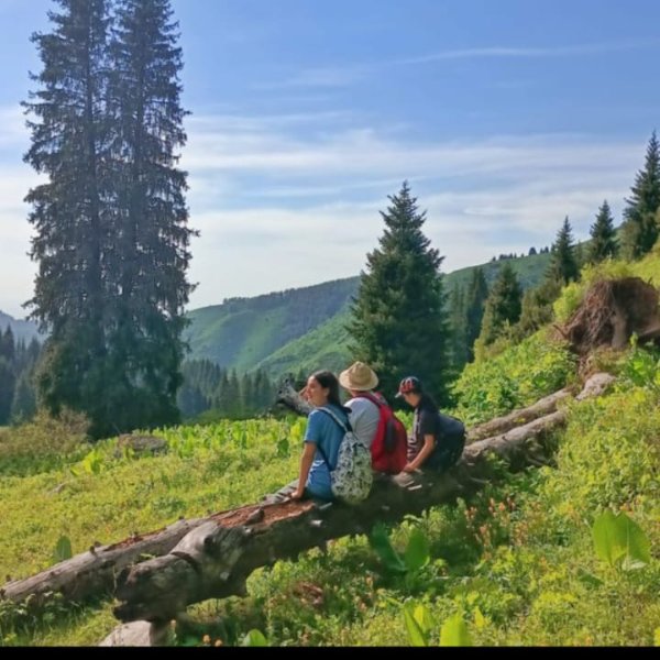 Altay